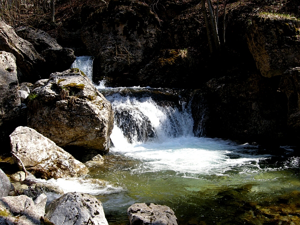Escursione Parco Nazionale d''Abruzzo